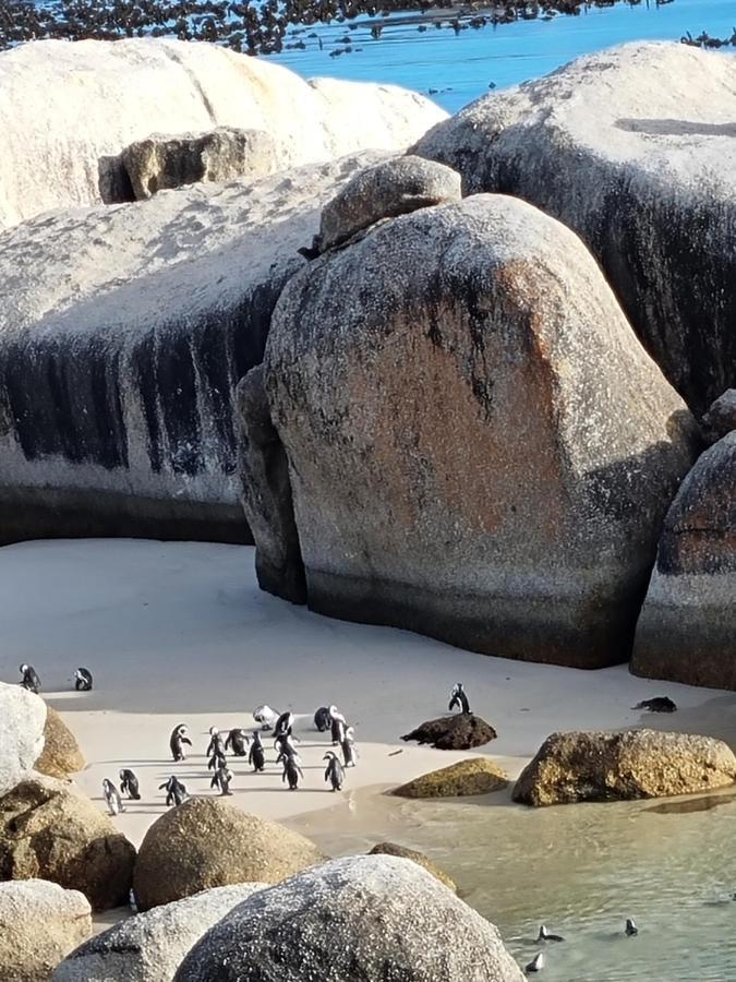 Boulders Beach House Simonʼs Town Dış mekan fotoğraf